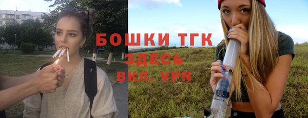 гашик Алексеевка