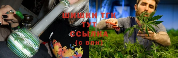 гашик Алексеевка